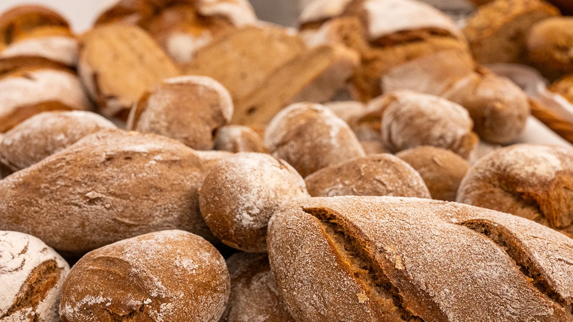 Tradição panificadora de Mafra